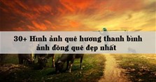 30+ Hình ảnh quê hương thanh bình, ảnh đồng quê đẹp nhất
