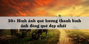 30+ Hình ảnh quê hương thanh bình, ảnh đồng quê đẹp nhất