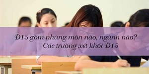 D15 gồm những môn nào, ngành nào? Các trường xét khối D15