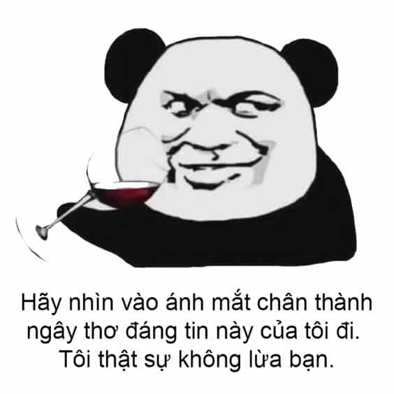 Meme gấu trúc đẹp, đáng yêu 11 Meme gấu trúc đẹp, đáng yêu 11
