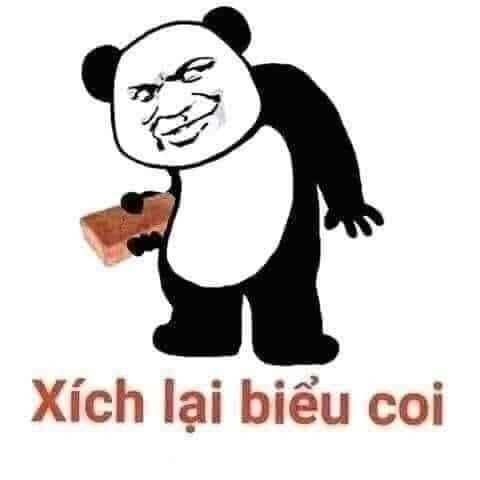 Hình ảnh meme gấu trúc hài hước, tức giận 2 Hình ảnh meme gấu trúc hài hước, tức giận 2