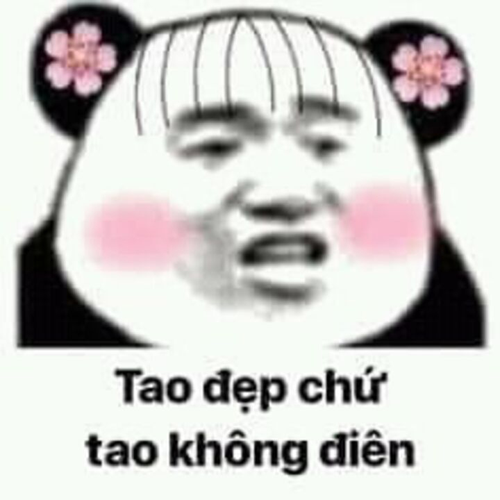Meme gấu trúc đẹp, đáng yêu 2 Meme gấu trúc đẹp, đáng yêu 2