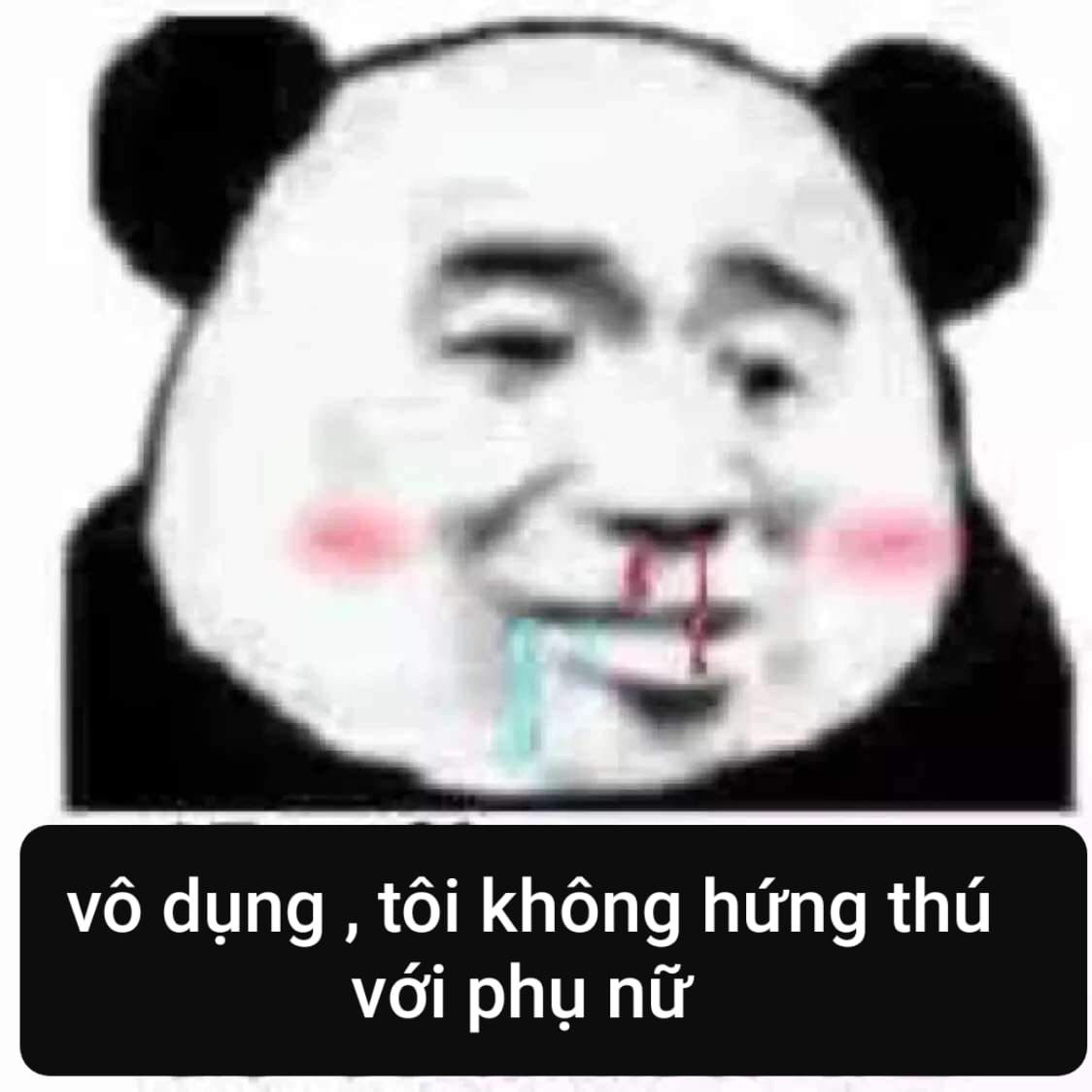 Hình ảnh meme gấu trúc hài hước, tức giận 6 Hình ảnh meme gấu trúc hài hước, tức giận 6