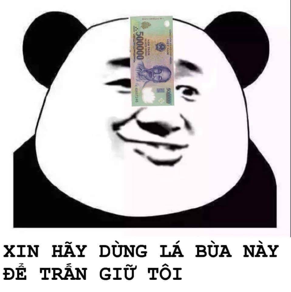 Hình ảnh meme gấu trúc hài hước, tức giận 11 Hình ảnh meme gấu trúc hài hước, tức giận 11