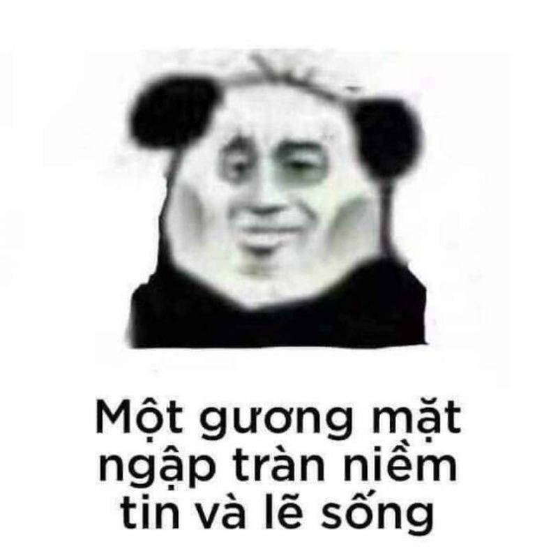 Meme gấu trúc đẹp, đáng yêu 5 Meme gấu trúc đẹp, đáng yêu 5