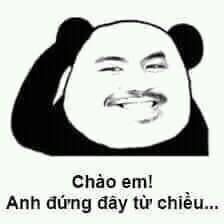 Meme gấu trúc đẹp, đáng yêu 7 Meme gấu trúc đẹp, đáng yêu 7