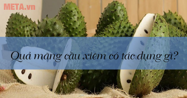 Quả mãng cầu xiêm Quả mãng cầu xiêm