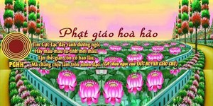 Bài cúng Phật Giáo Hòa Hảo hằng ngày và cách cúng chuẩn nhất