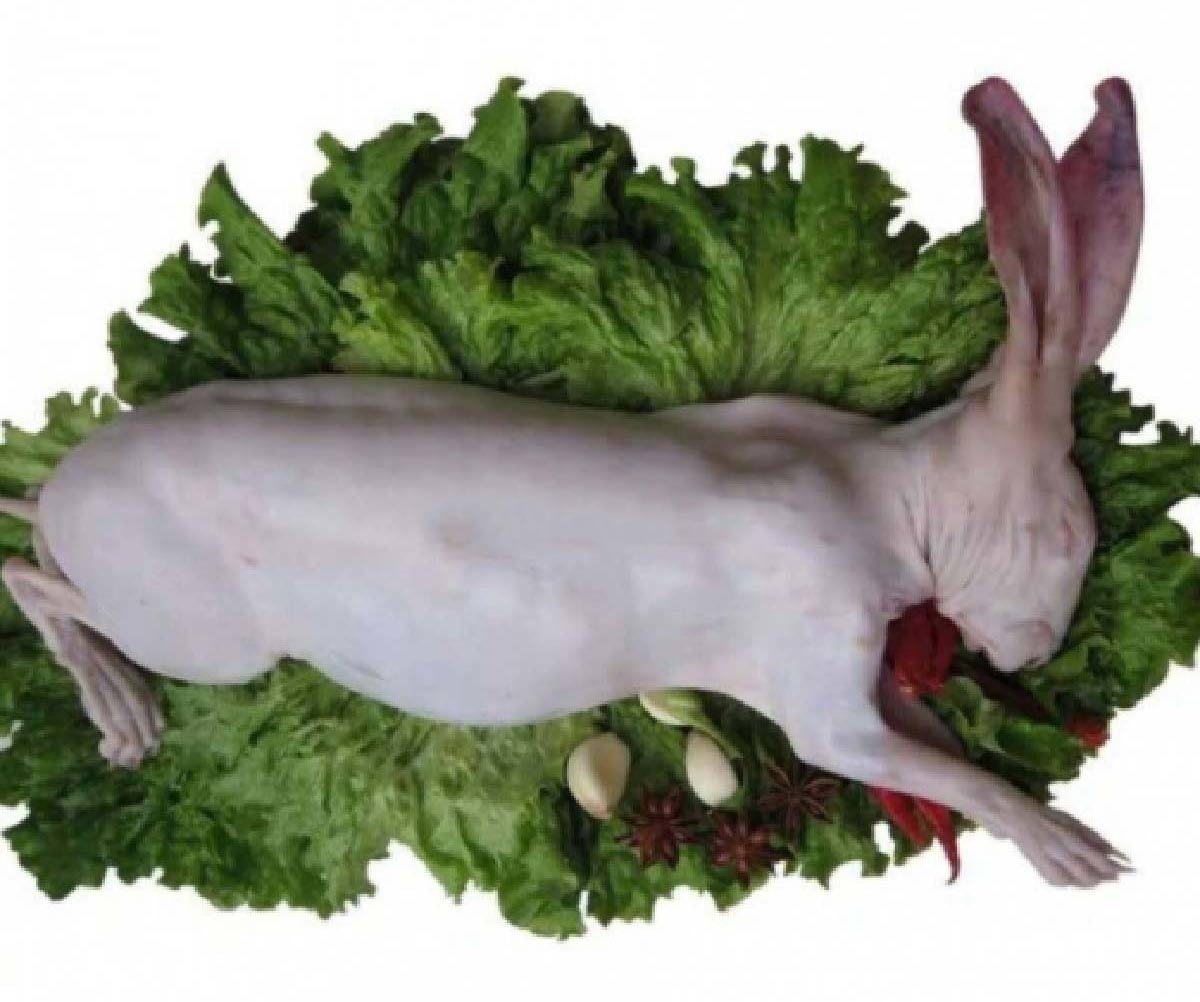 Sơ chế thịt thỏ