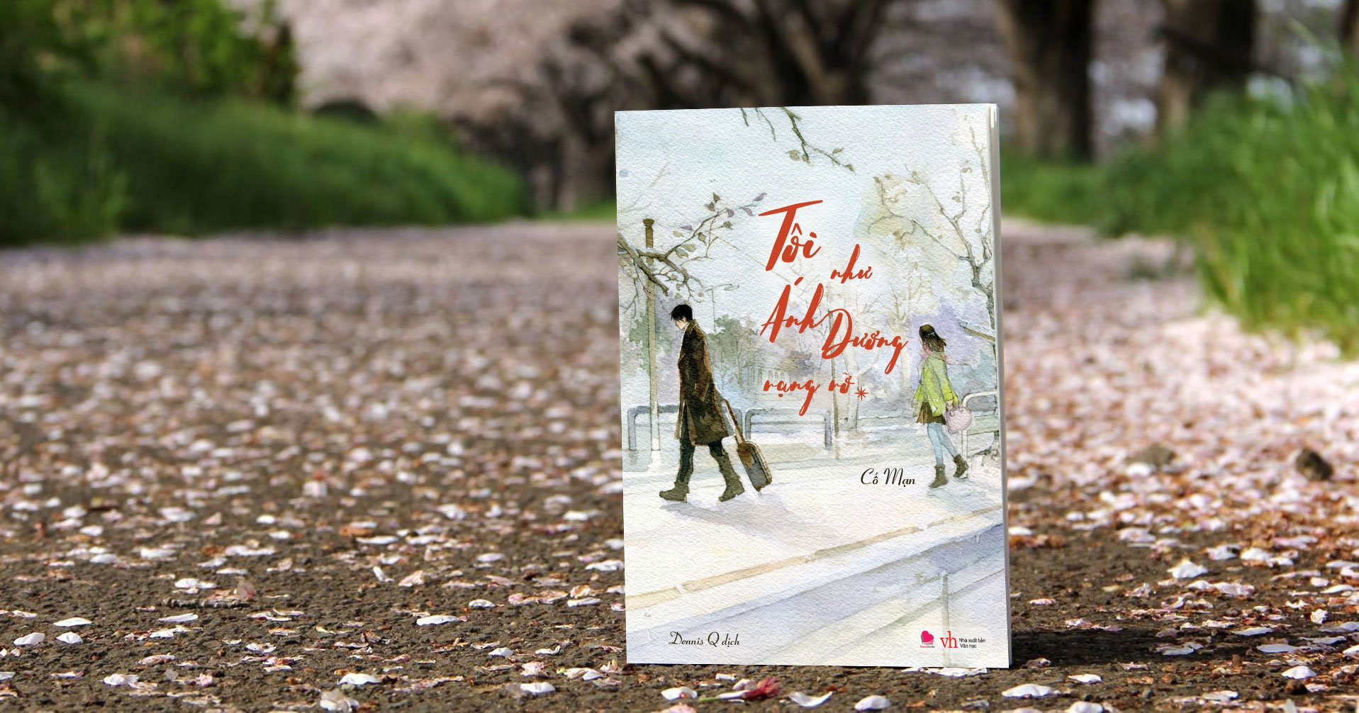 Tôi như ánh dương rực rỡ