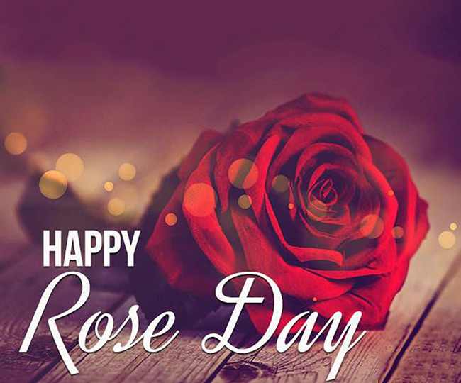 Tìm hiểu về ngày Rose Day Tìm hiểu về ngày Rose Day