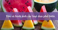 Tên và hình ảnh các loại dưa phổ biến hiện nay
