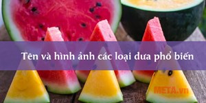 Tên và hình ảnh các loại dưa phổ biến hiện nay