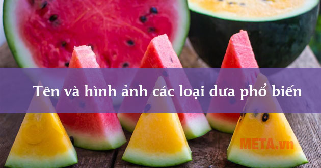 Các loại dưa