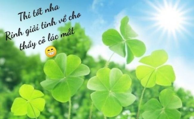 Hình ảnh chúc thi tốt