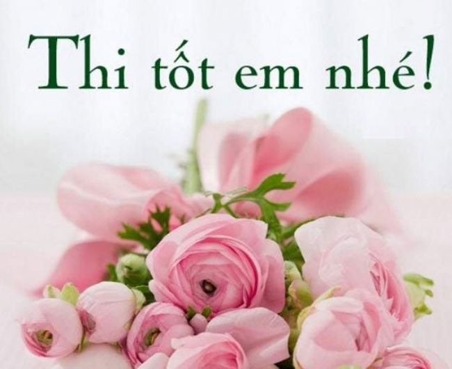 Hình ảnh chúc thi tốt