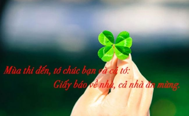 Hình ảnh chúc thi tốt