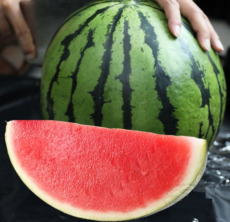 Dưa hấu không hạt