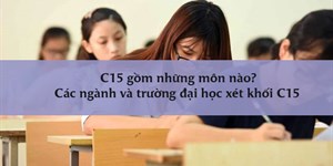 C15 gồm những môn nào? Các ngành và trường đại học xét khối C15