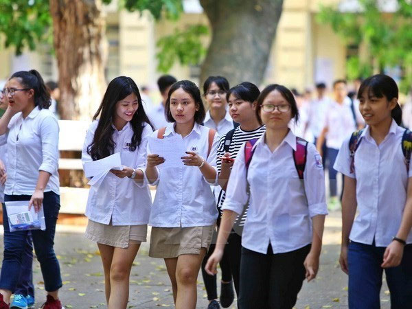 C20 gồm môn nào