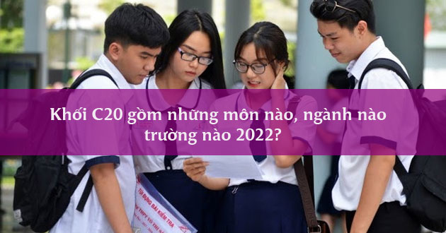 C20 gồm những môn nào ngành nào