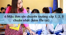 6 Mẫu đơn xin chuyển trường cấp 1, 2, 3 chuẩn nhất (kèm file tải)