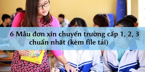 6 Mẫu đơn xin chuyển trường cấp 1, 2, 3 chuẩn nhất (kèm file tải)