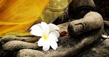 Stt miệng đời hay, những câu nói hay về miệng đời nghiệt ngã