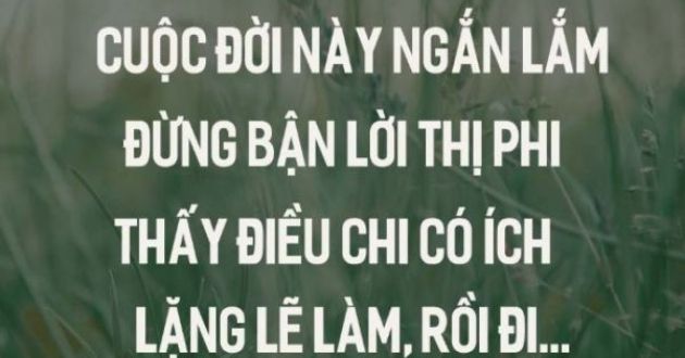 stt miệng đời stt miệng đời