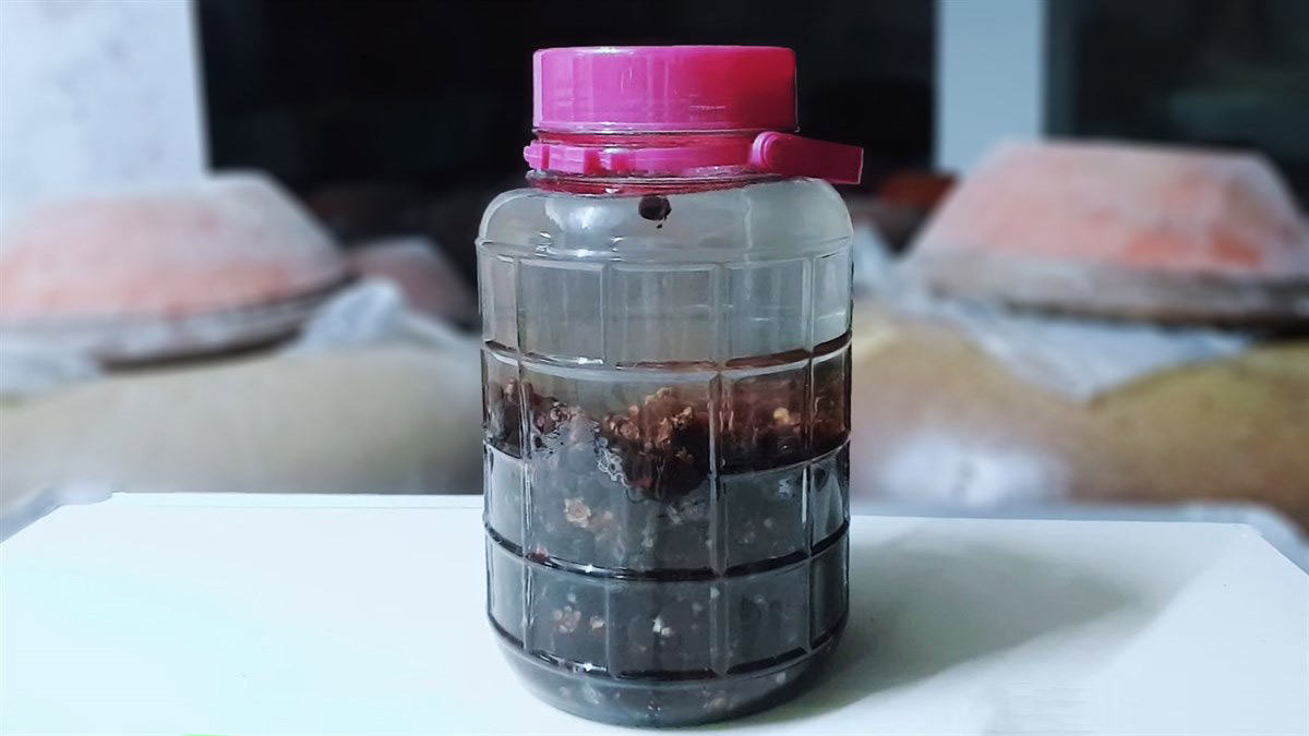 Cách ngâm rượu sim tươi Cách ngâm rượu sim tươi