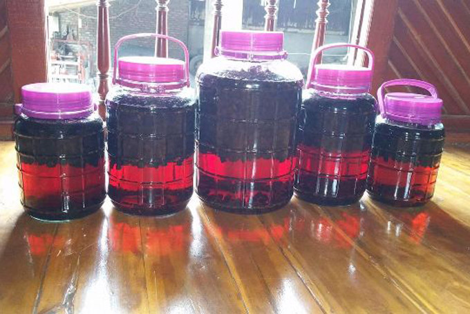Hướng dẫn cách ngâm rượu sim ngon Hướng dẫn cách ngâm rượu sim ngon
