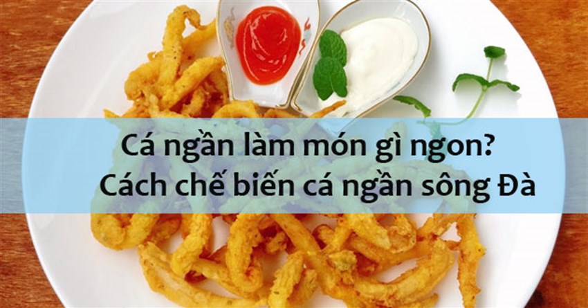 Cá ngần làm món gì ngon? Cách chế biến cá ngần sông Đà