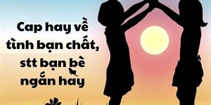 Cap hay về tình bạn chất, stt bạn bè ngắn hay