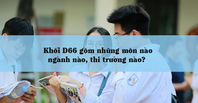 D66 gồm những môn nào D66 gồm những môn nào