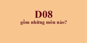 D08 gồm những môn nào? Những ngành và trường xét khối D08