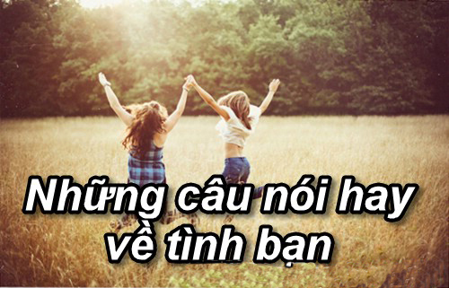 Những câu nói hay về tình bạn Những câu nói hay về tình bạn