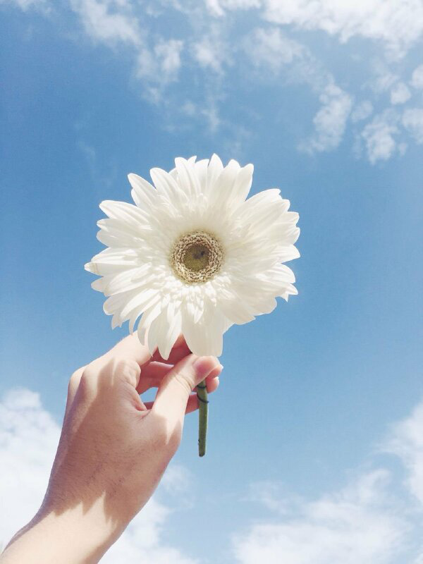 Hình ảnh chụp tay và bầu trời đẹp 1