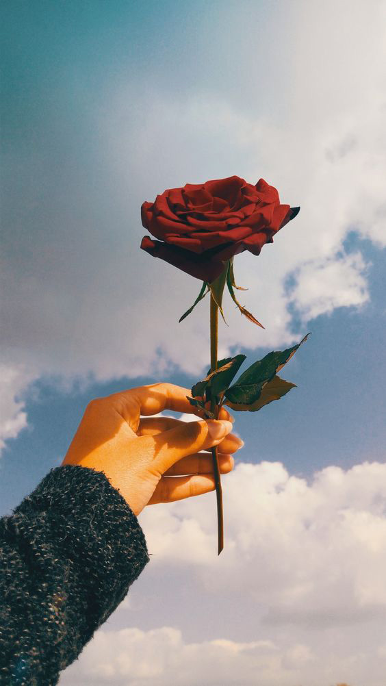 Hình ảnh chụp tay và bầu trời đẹp 4