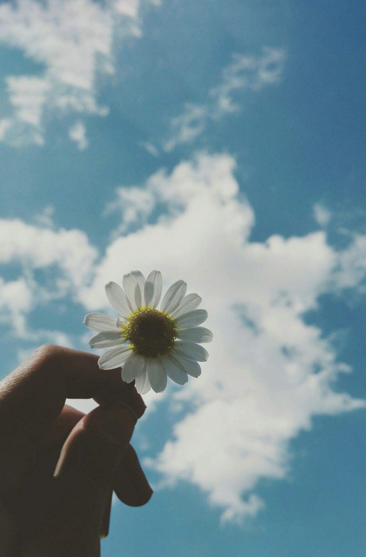 Hình ảnh chụp tay và bầu trời đẹp 5
