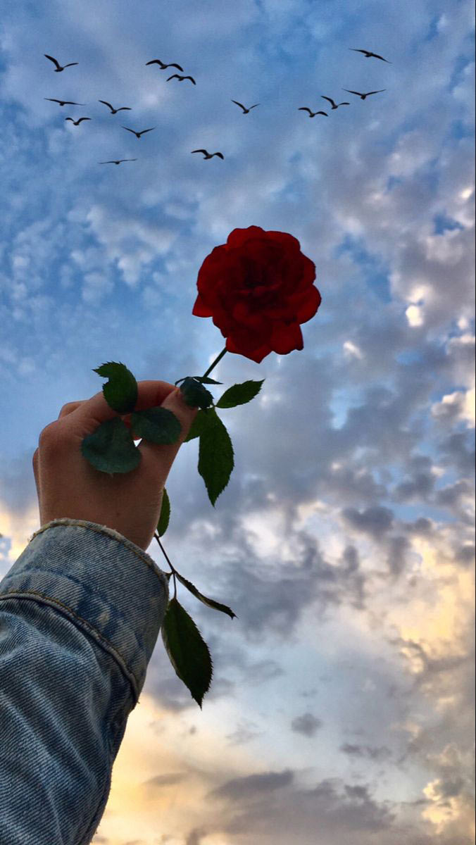 Hình ảnh chụp tay và bầu trời đẹp 7