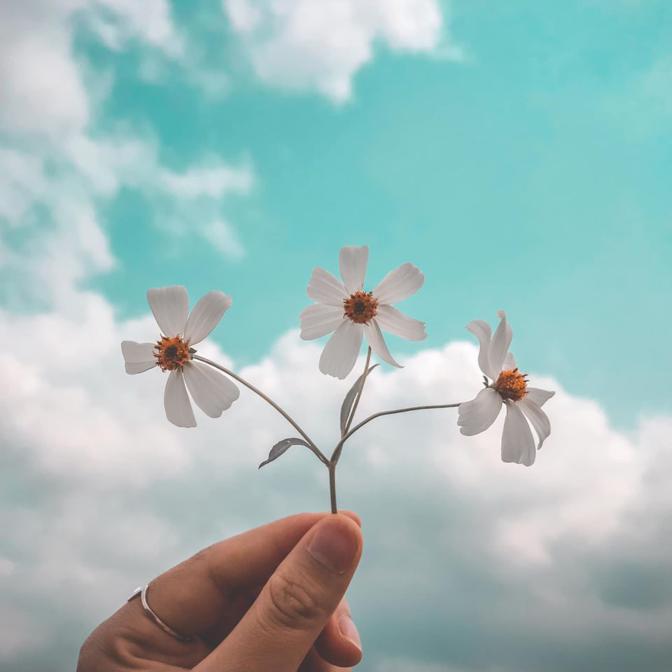 Hình ảnh chụp tay và bầu trời đẹp 8