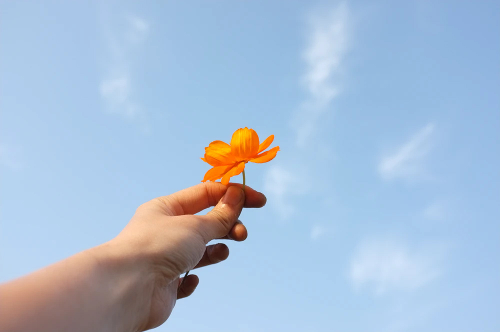 Hình ảnh chụp tay và bầu trời đẹp 10