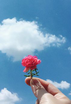 Hình ảnh chụp tay và bầu trời đẹp 9