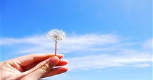 Ảnh bầu trời có tay, hình bầu trời có tay cầm hoa đẹp nhất