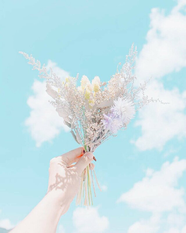 Ảnh bầu trời và hoa 3