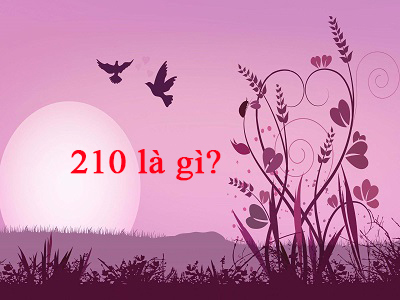 210 là gì? Ý nghĩa của số 210 trong tình yêu