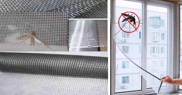 cách đuổi muỗi