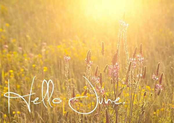 Stt chào tháng 6 bằng tiếng Anh