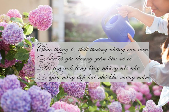 Hình ảnh chào tháng 6 đẹp