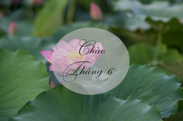 Thơ tháng Sáu háy